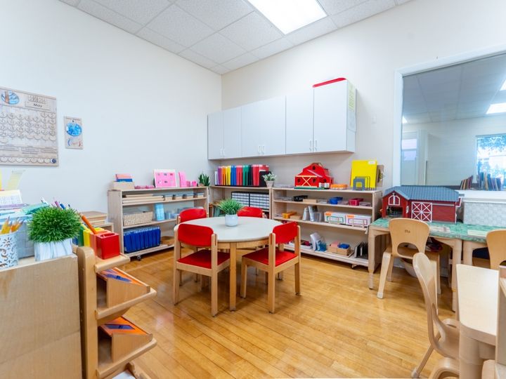 Maitland Montessori School